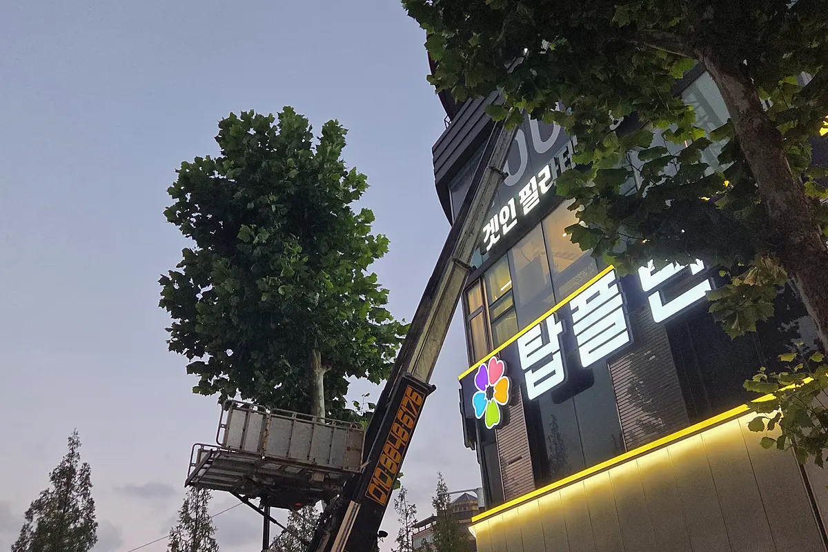 양주 공사 폐기물 가격 현장 사진 4